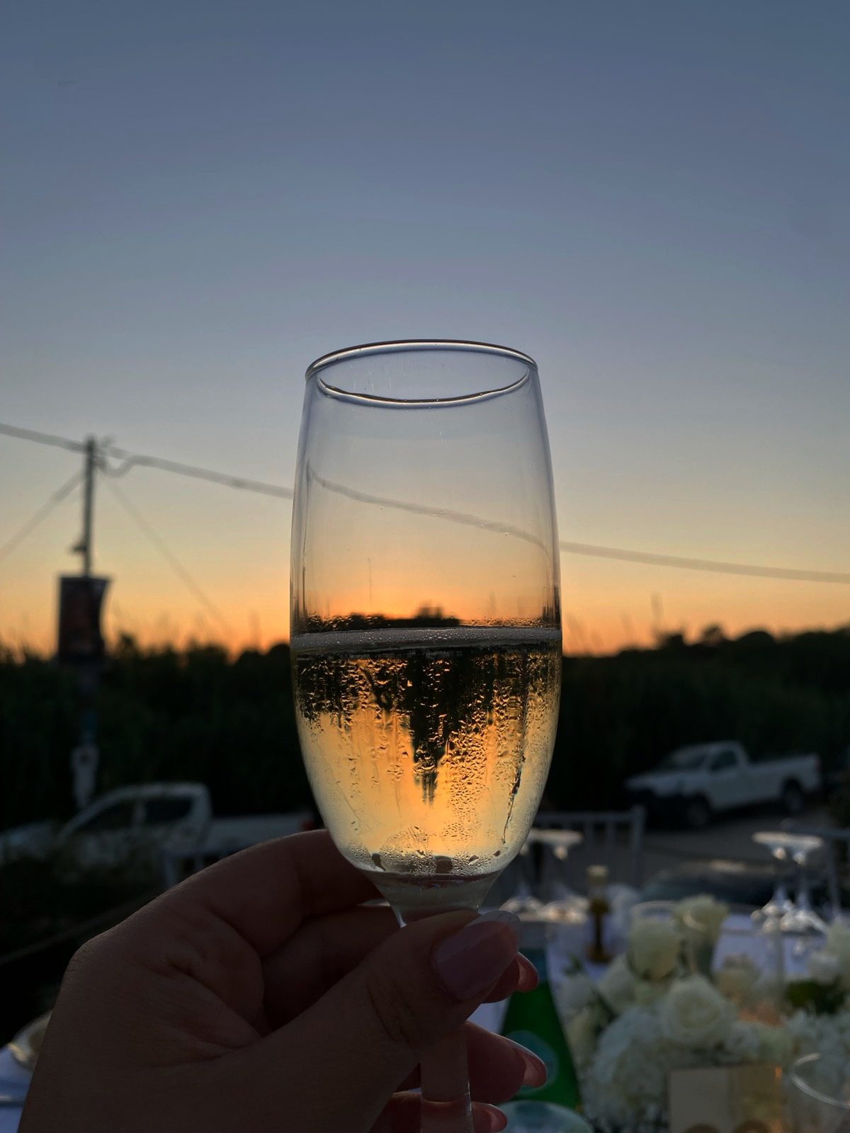 fDkOoybOP6EF-IMG_20250810_115353